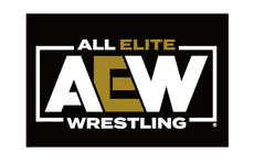 AEW : All Elite Wrestling Logo 18x24" Fabric Flag