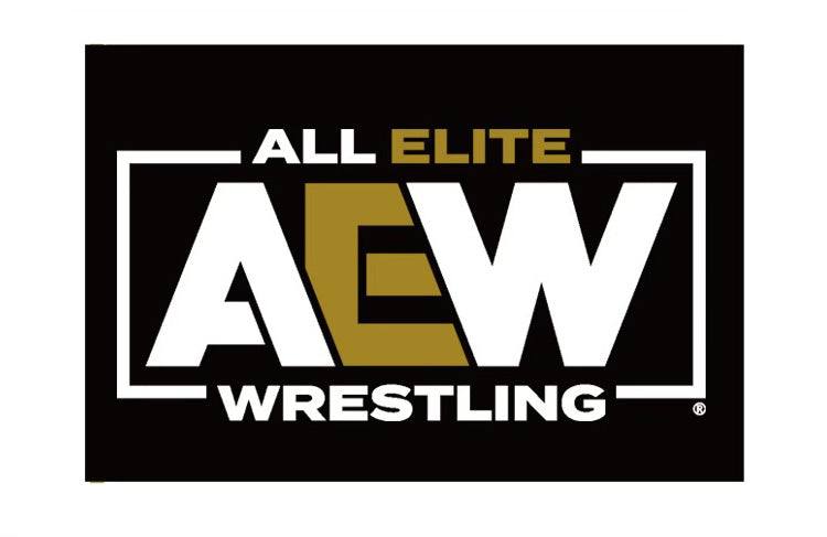 2023 AEW Pro Wrestling Tees Micro Brawlers Tag Team Edition 1 of 2 Mat –  Wrestling Figure Database