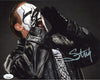 Highspots - Sting "Scream" Hand Signed 8x10 *inc COA*