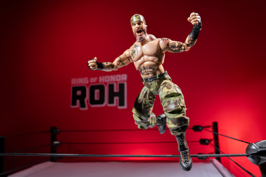 ROH Ring Of Honor - Jay Briscoe Jazwares Vault Action Figure ...