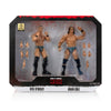 ROH Ring Of Honor - Adam Cole & Kyle O'Reilly Jazwares Vault Action Figures