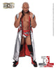 ROH - Jay Lethal 2016 UK Tour 8x10