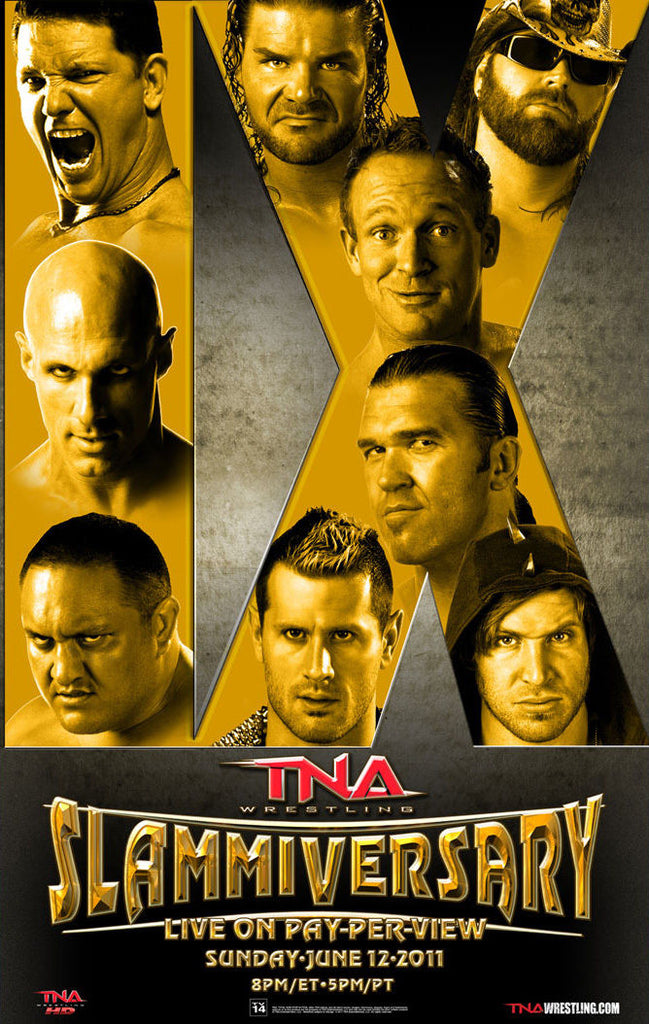 TNA - Slammiversary 2011 38"x24" PPV Poster