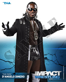Impact Wrestling - The Pope - 8x10 - P128