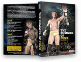 ROH - Best of CM Punk : Summer of Punk (2 Disc) DVD ( Pre-Owned )