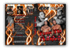 ROH - From The Ashes 2010 Event DVD (Pre-Owned)