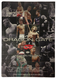 Japanese Dragon Gate Programme (No Pain, No Gain)