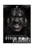 PWG - Steen Wolf 2011 Event DVD ( Pre-Owned )