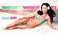TNA - Gail Kim 2014 5ft x 3ft Banner