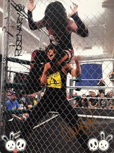 Demon Bunny - "Greed & Cherry Bomb Cage Match" Signed 8x10