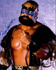 Highspots - Barbarian "Promo Pose" Hand Signed 8x10 *inc COA*