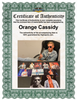Highspots - Orange Cassidy "Hardcore" Hand Signed 8x10 *inc COA*
