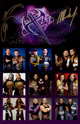 Highspots - The Hardy Boyz "Tag Team Print" Hand Signed 11x17 *Inc COA*