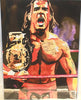 Rob Schamberger - Shawn Michaels Hand Signed 24" x 18" Poster *inc COA*